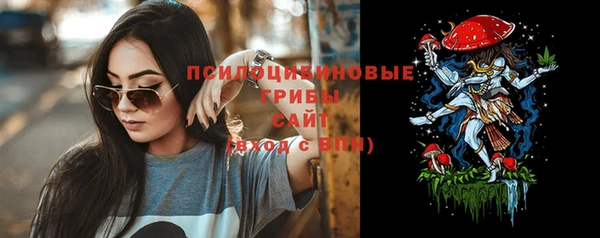 круглые Магас