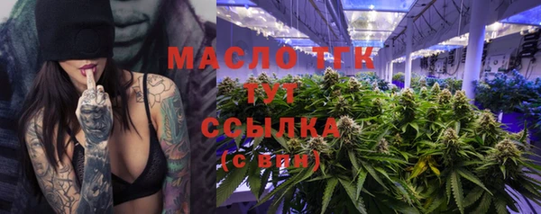 гидра Мегион