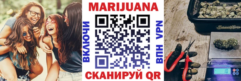 Конопля гибрид  Лысково 